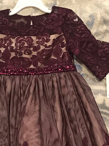 Girls Lace Plum Gown