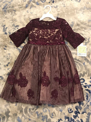 Girls Lace Plum Gown